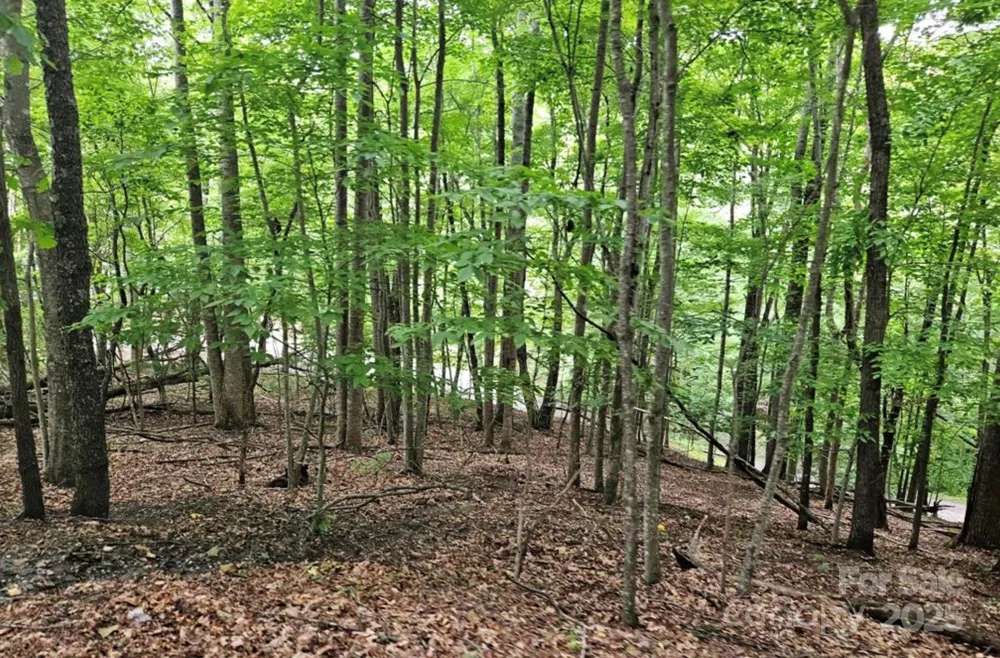 Lot 3 Mountain View Road Burnsville, NC 28714