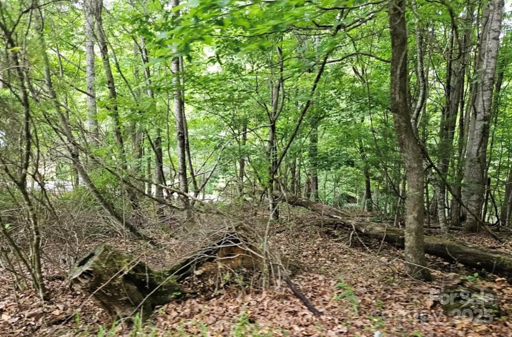 Lot 3 Mountain View Road Burnsville, NC 28714