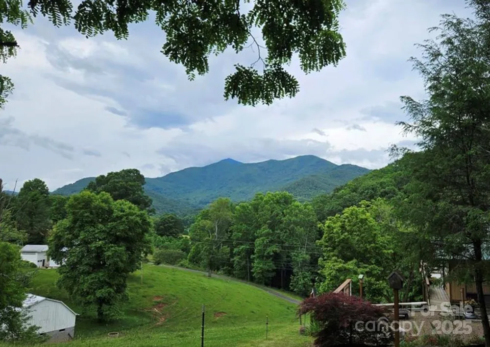 Lot 3 Mountain View Road Burnsville, NC 28714
