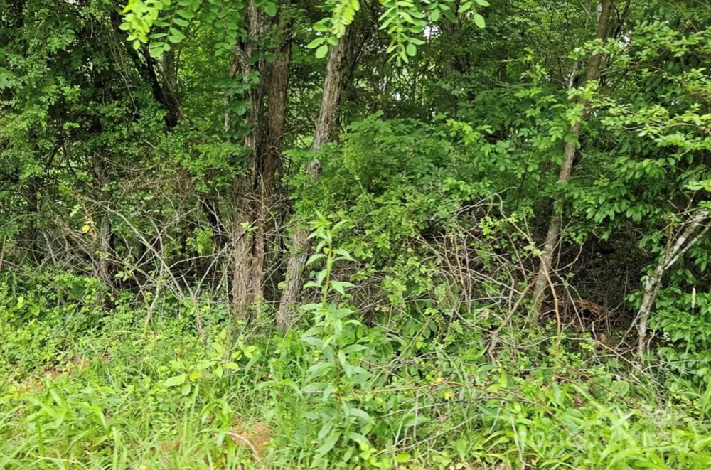 Lot 3 Mountain View Road Burnsville, NC 28714