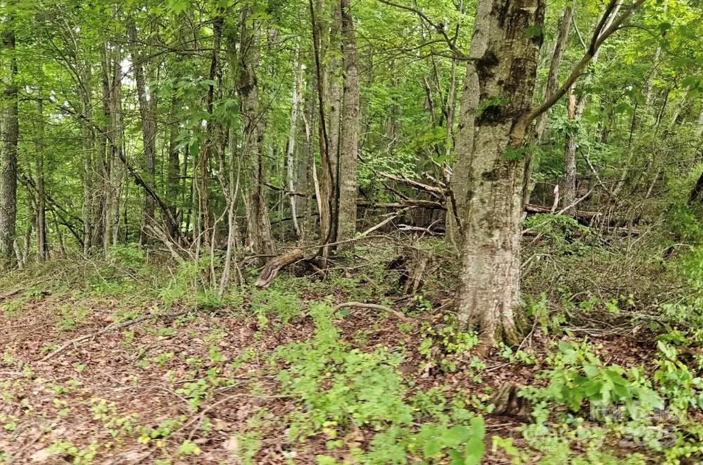Lot 3 Mountain View Road Burnsville, NC 28714