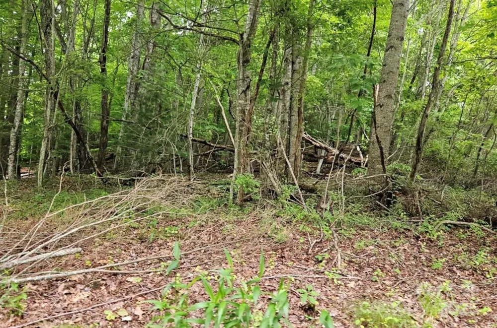 Lot 3 Mountain View Road Burnsville, NC 28714