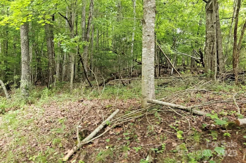 Lot 3 Mountain View Road Burnsville, NC 28714