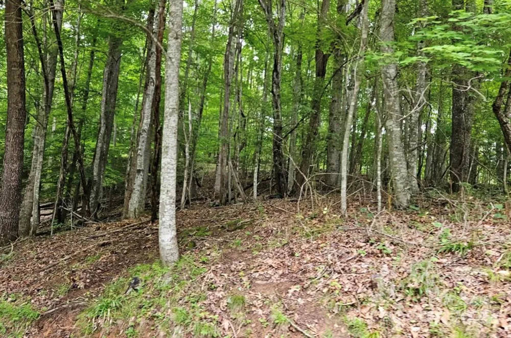 Lot 3 Mountain View Road Burnsville, NC 28714