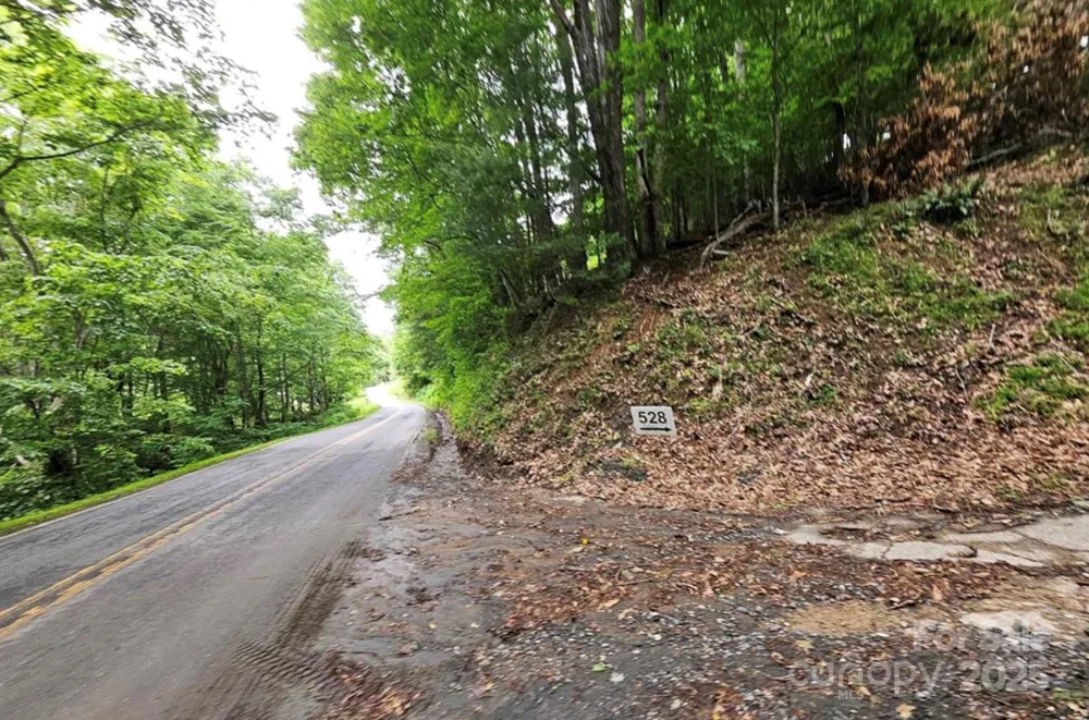 Lot 3 Mountain View Road Burnsville, NC 28714