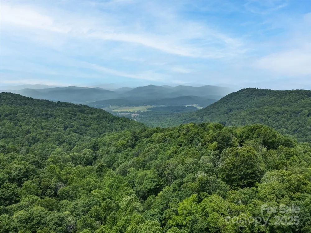 0000 Dotsi Drive Brevard, NC 28712
