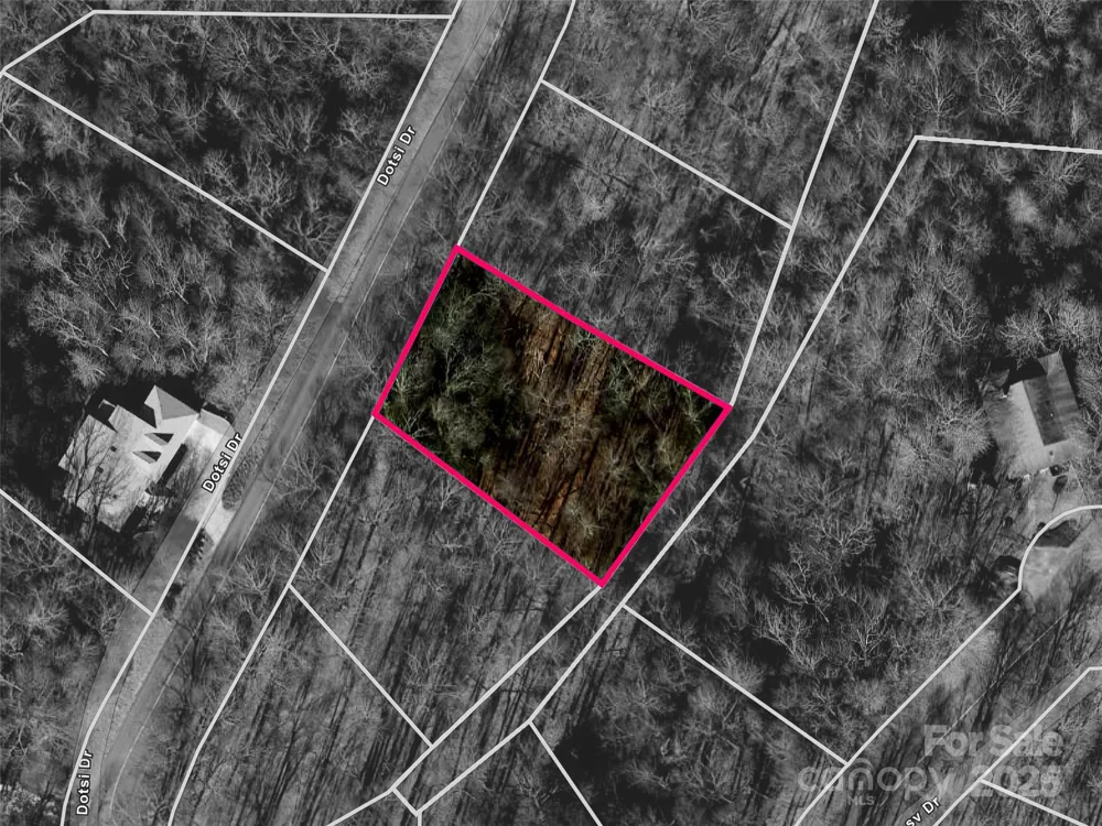 0000 Dotsi Drive Brevard, NC 28712