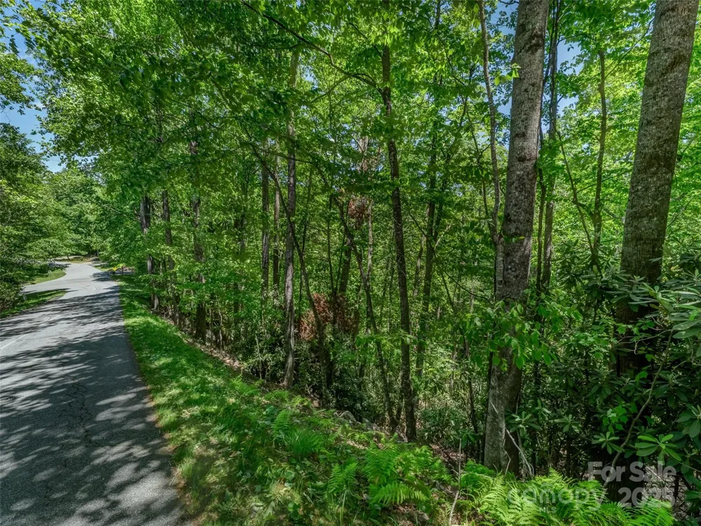 0000 Dotsi Drive Brevard, NC 28712