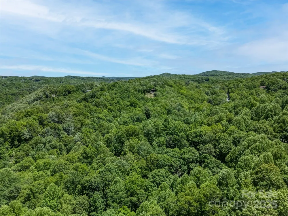 0000 Dotsi Drive Brevard, NC 28712