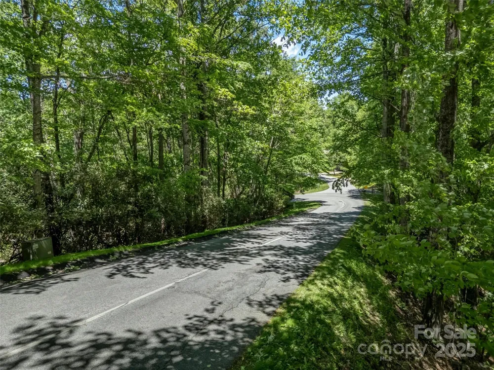 0000 Dotsi Drive Brevard, NC 28712