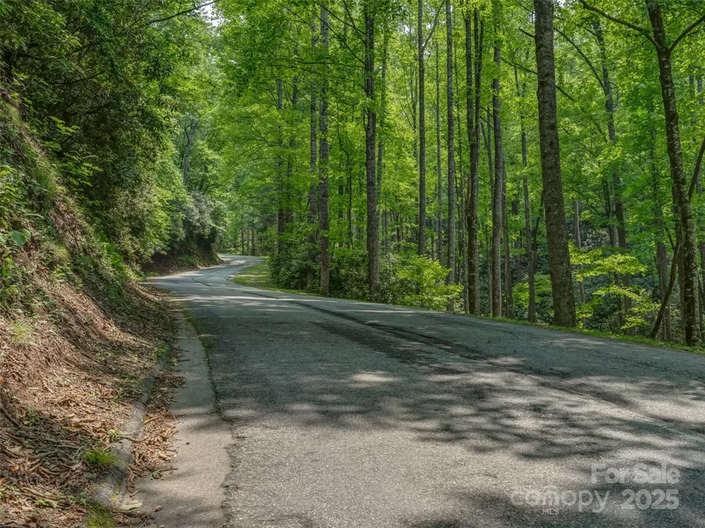 0000 Dotsi Drive Brevard, NC 28712