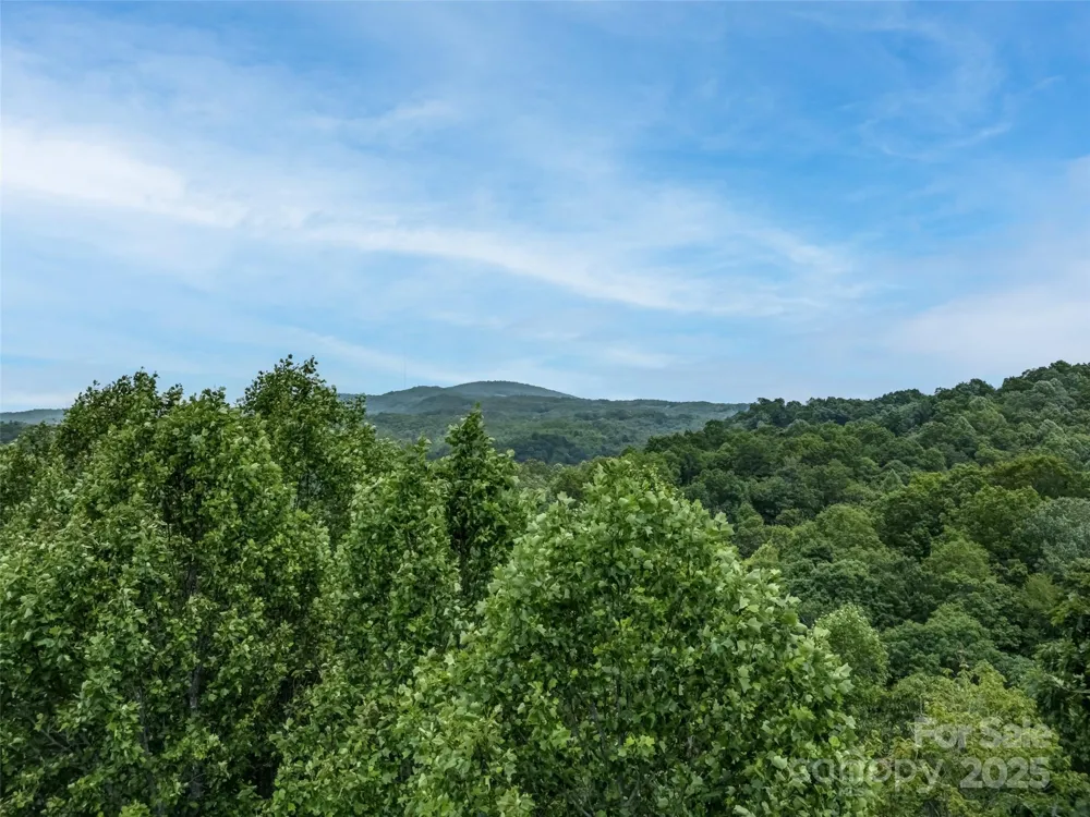 0000 Dotsi Drive Brevard, NC 28712