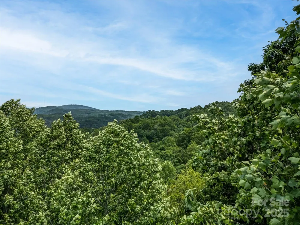 0000 Dotsi Drive Brevard, NC 28712