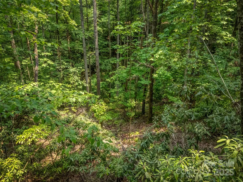 0000 Dotsi Drive Brevard, NC 28712