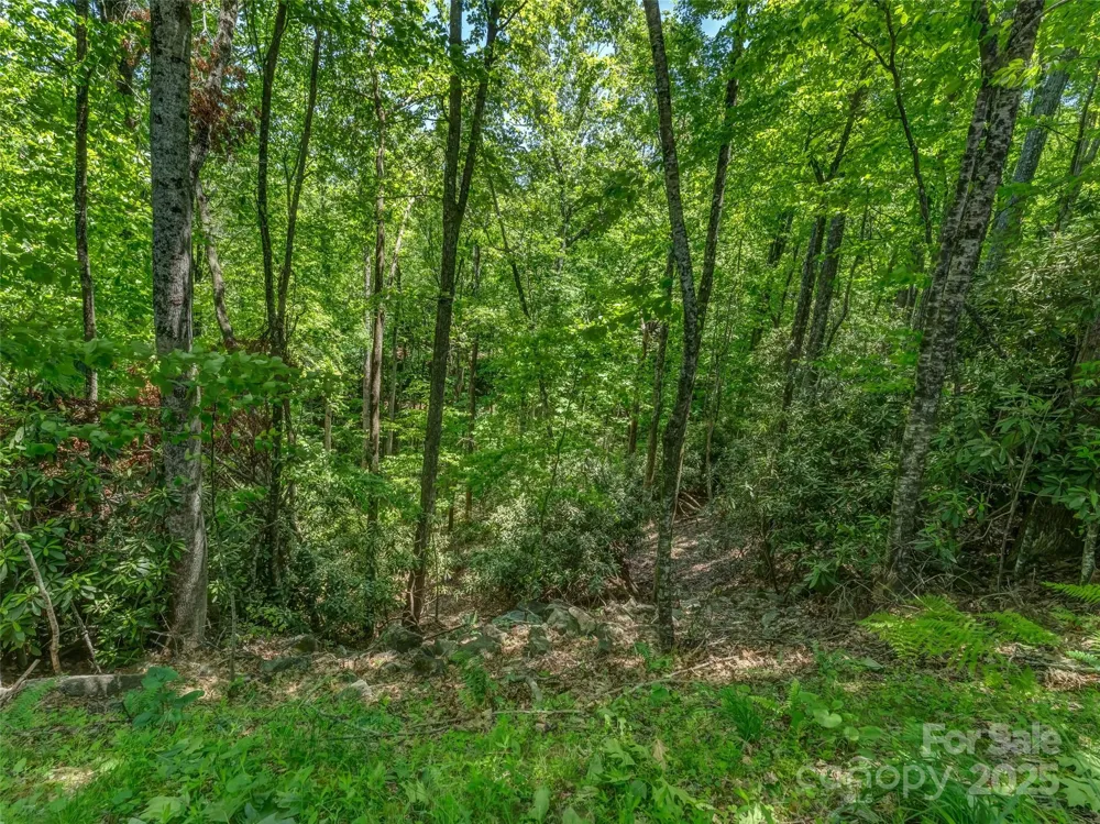 0000 Dotsi Drive Brevard, NC 28712