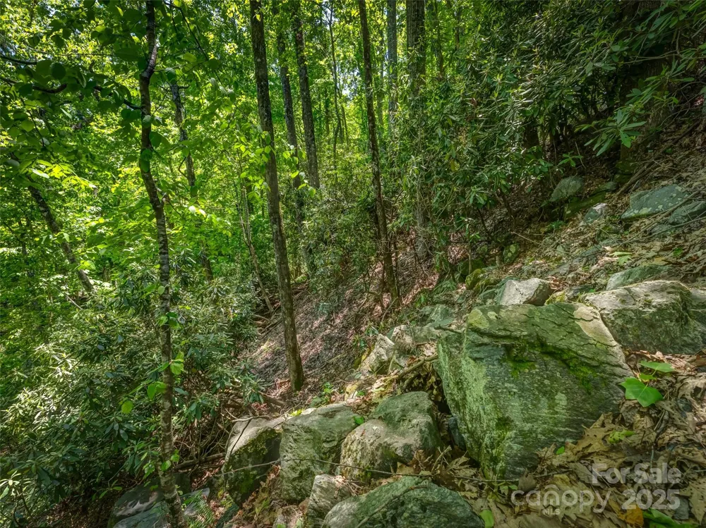 0000 Dotsi Drive Brevard, NC 28712