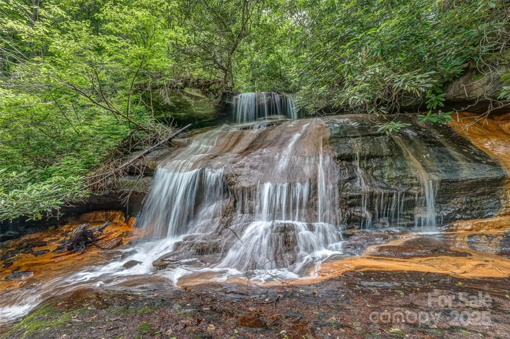 0000 Dotsi Drive Brevard, NC 28712