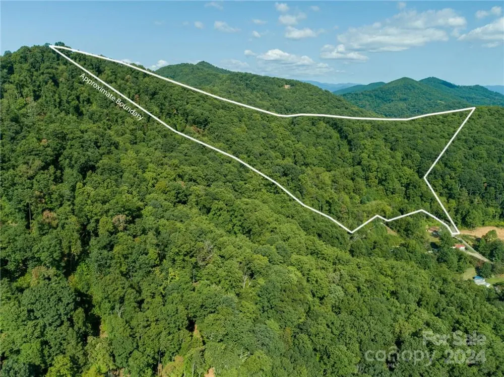 58 Grooms Road Candler, NC 28715