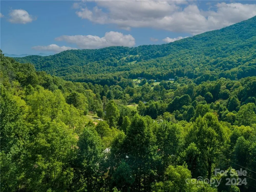 58 Grooms Road Candler, NC 28715