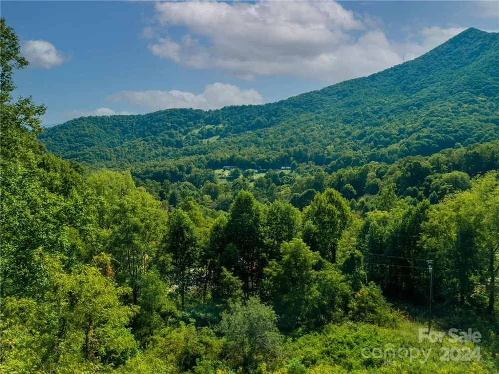 58 Grooms Road Candler, NC 28715