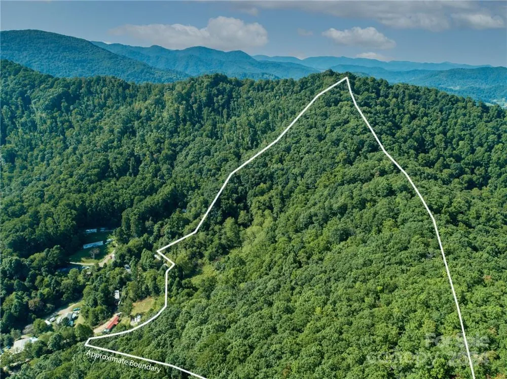 58 Grooms Road Candler, NC 28715