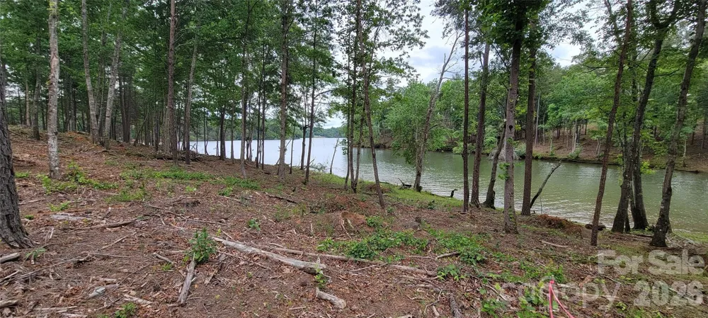 2948 Jumping Run #88 Connelly Springs, NC 28612