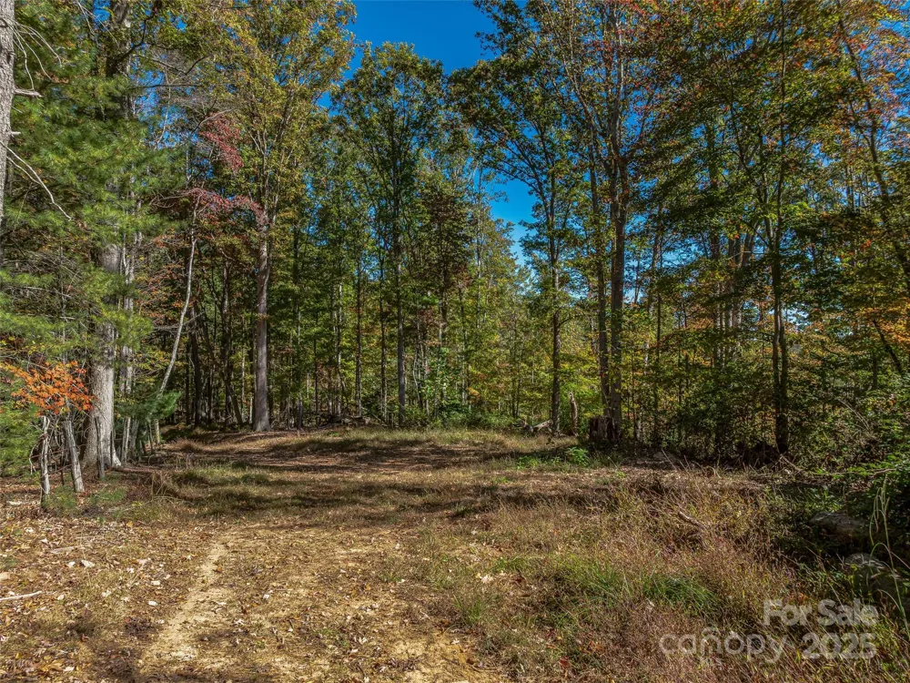 99999 Meadows Town Road Marshall, NC 28753