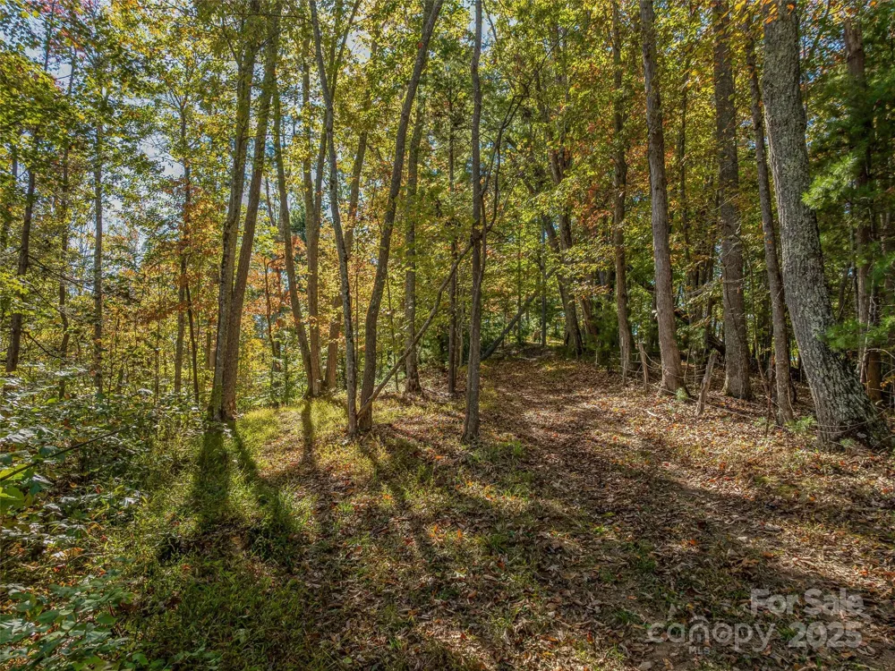 99999 Meadows Town Road Marshall, NC 28753