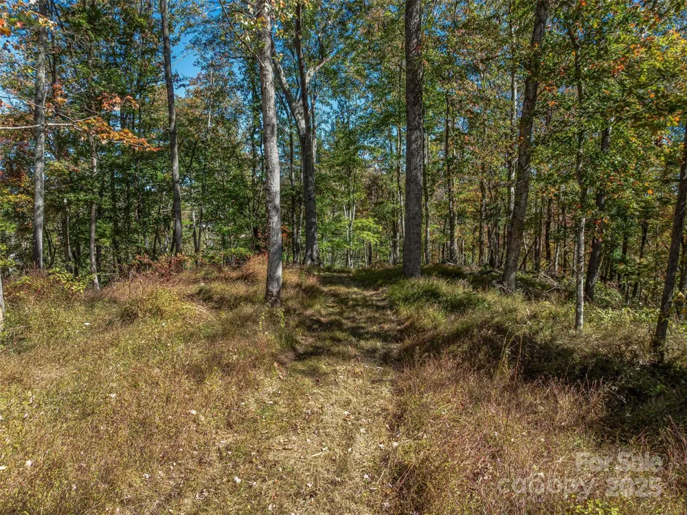 99999 Meadows Town Road Marshall, NC 28753