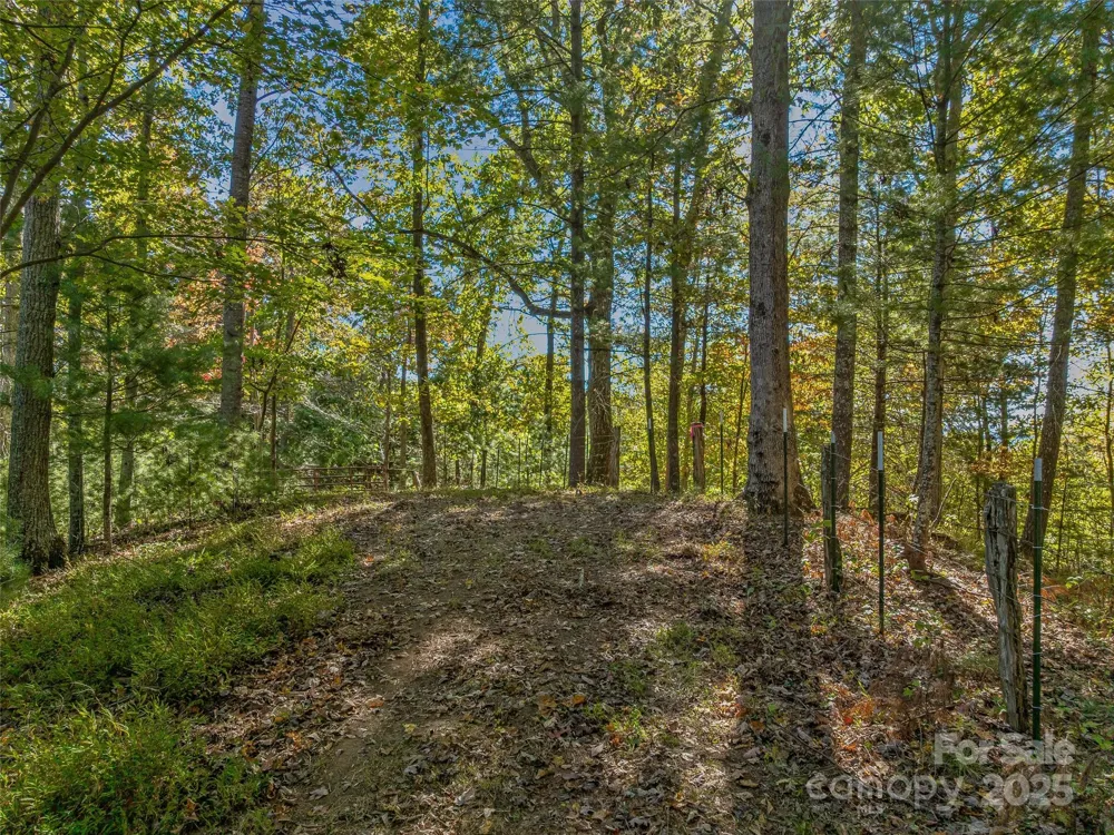 99999 Meadows Town Road Marshall, NC 28753