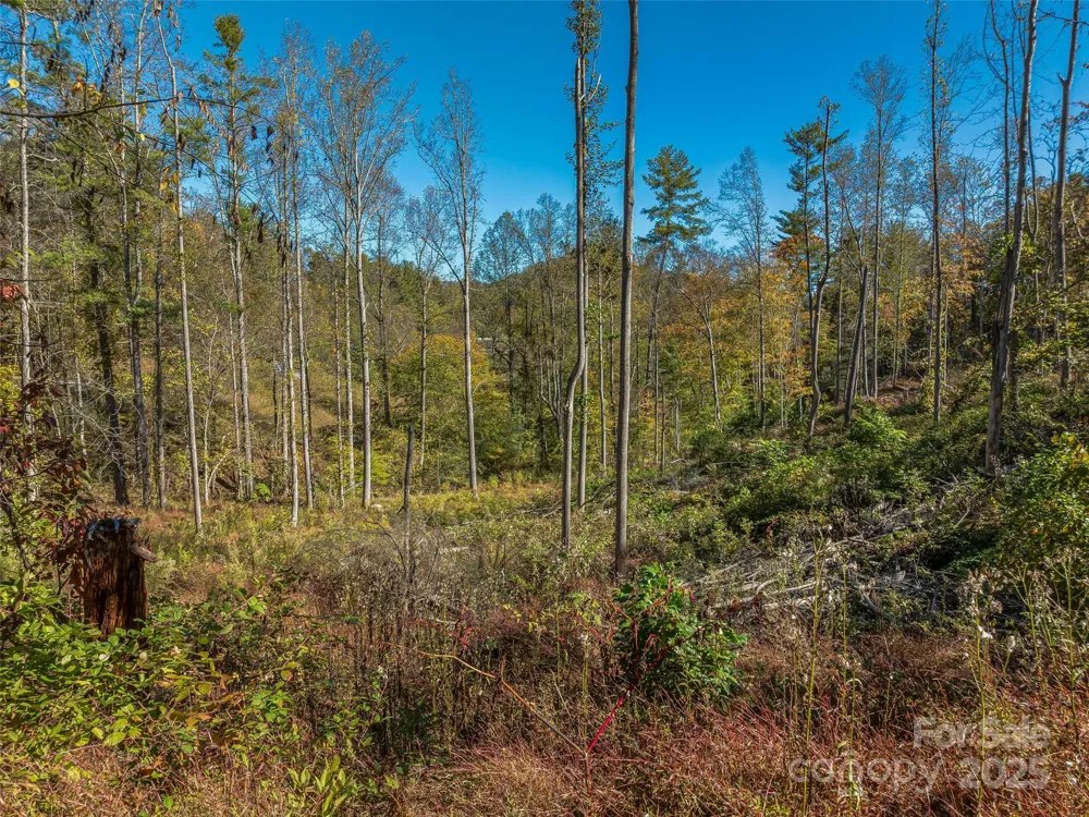 99999 Meadows Town Road Marshall, NC 28753