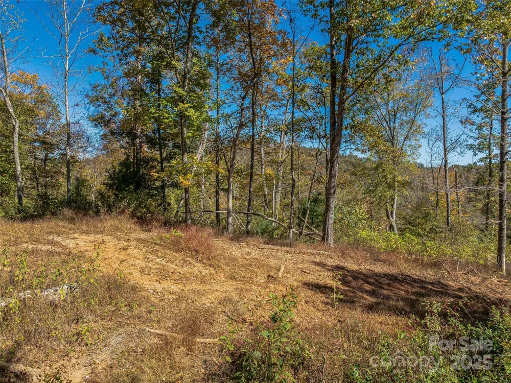 99999 Meadows Town Road Marshall, NC 28753