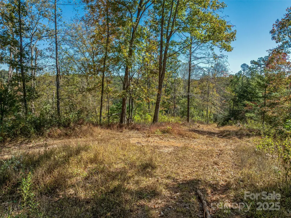 99999 Meadows Town Road Marshall, NC 28753