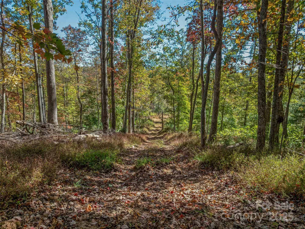 99999 Meadows Town Road Marshall, NC 28753