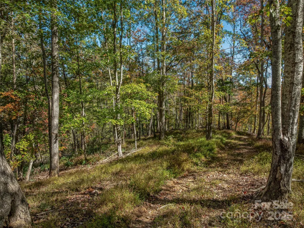 99999 Meadows Town Road Marshall, NC 28753