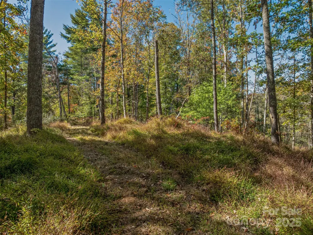 99999 Meadows Town Road Marshall, NC 28753