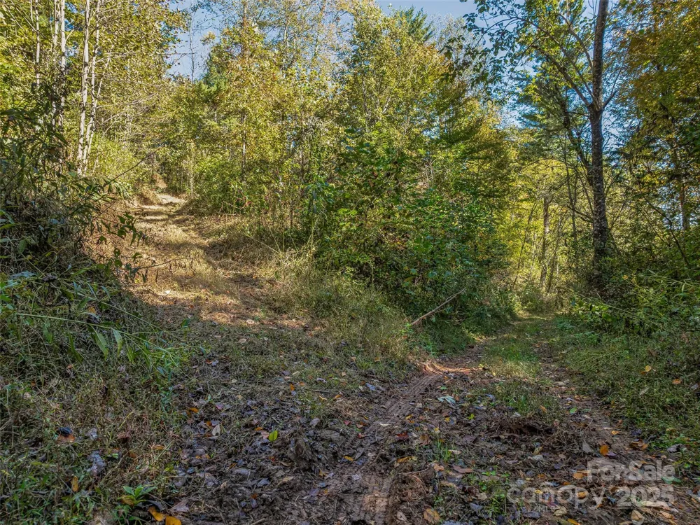 99999 Meadows Town Road Marshall, NC 28753