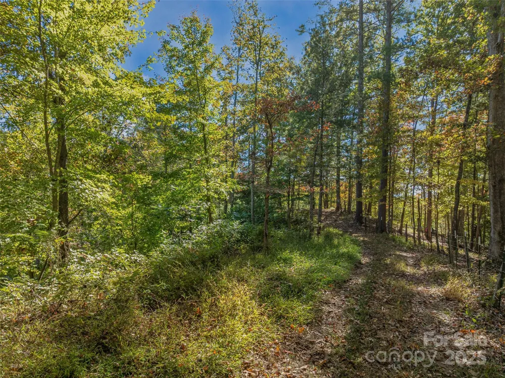 99999 Meadows Town Road Marshall, NC 28753