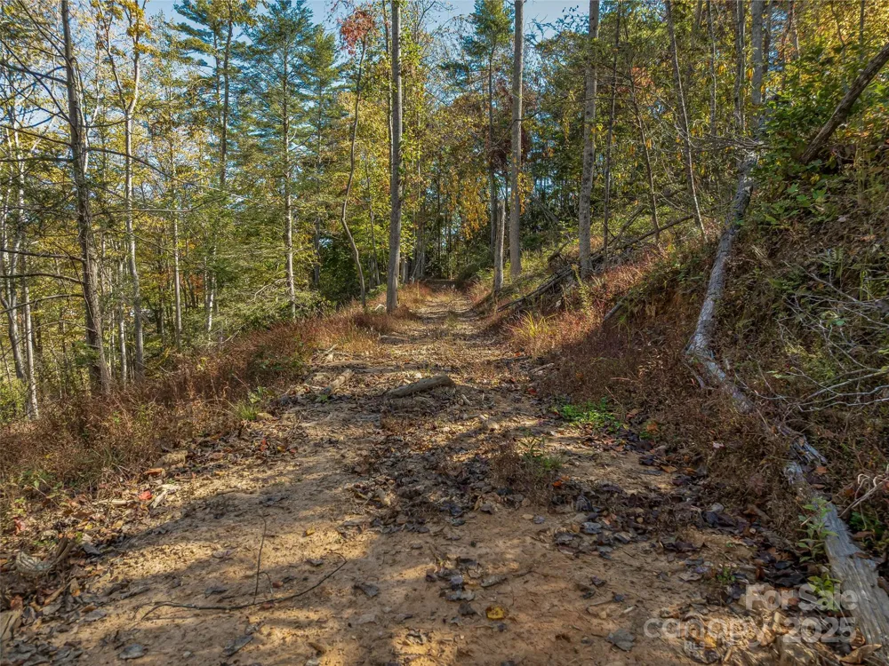 99999 Meadows Town Road Marshall, NC 28753