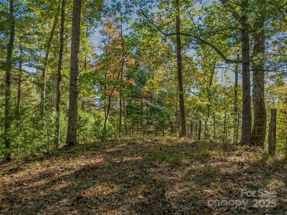 99999 Meadows Town Road Marshall, NC 28753