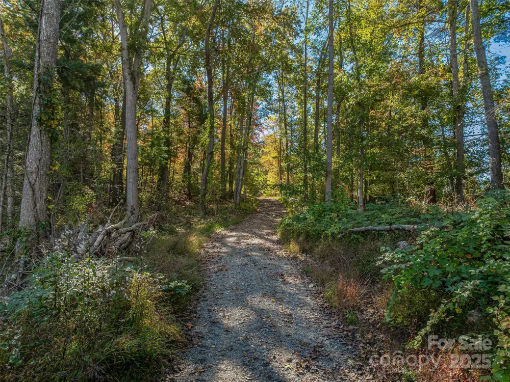 99999 Meadows Town Road Marshall, NC 28753