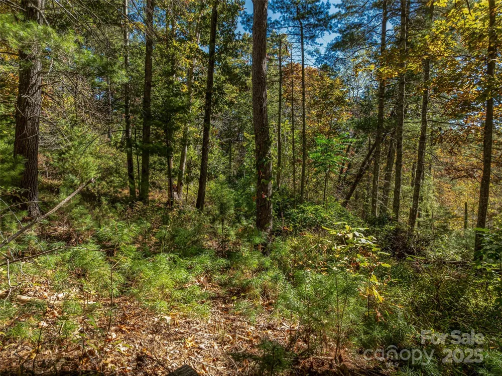 99999 Meadows Town Road Marshall, NC 28753