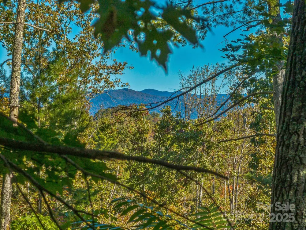 99999 Meadows Town Road Marshall, NC 28753