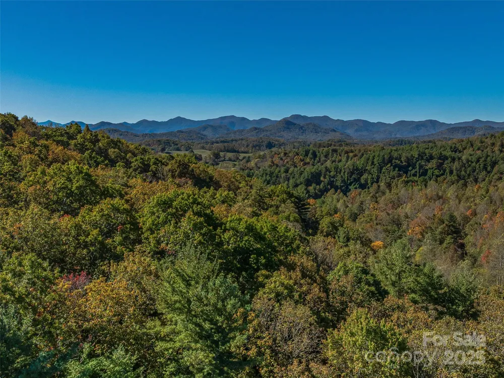 99999 Meadows Town Road Marshall, NC 28753