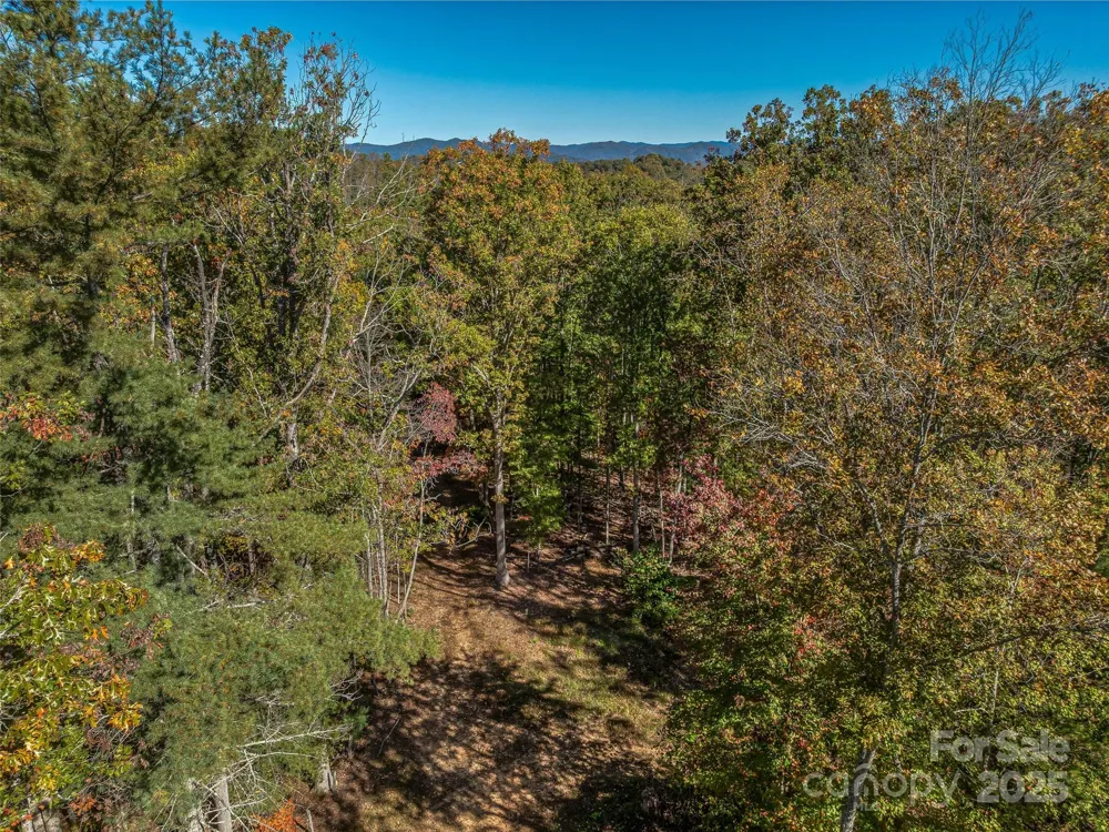 99999 Meadows Town Road Marshall, NC 28753