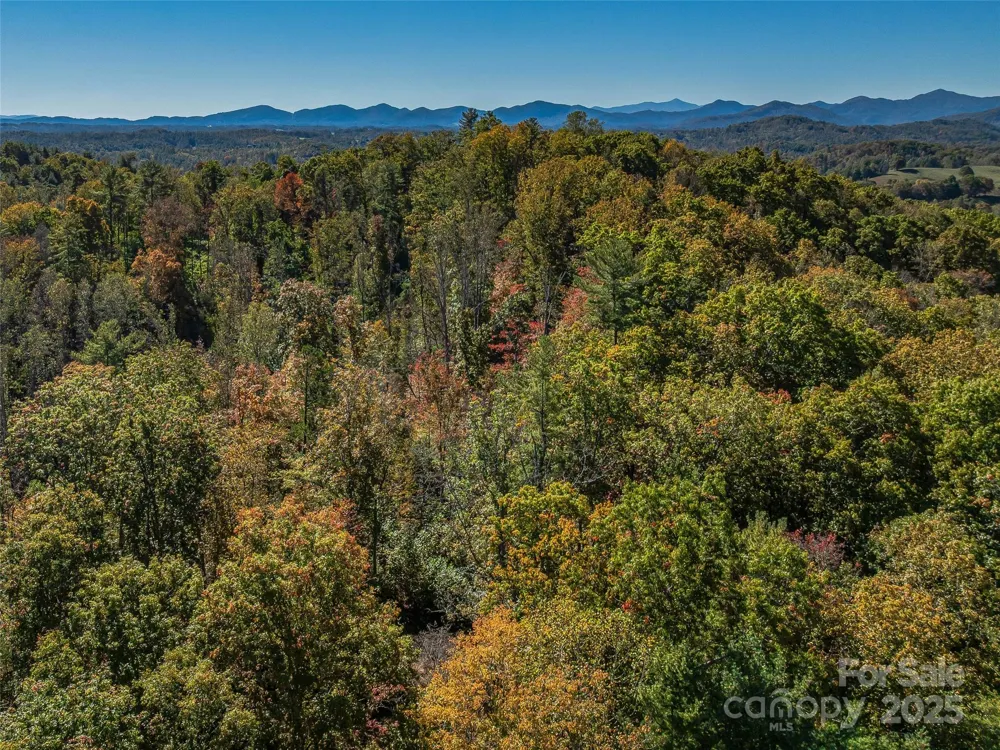99999 Meadows Town Road Marshall, NC 28753
