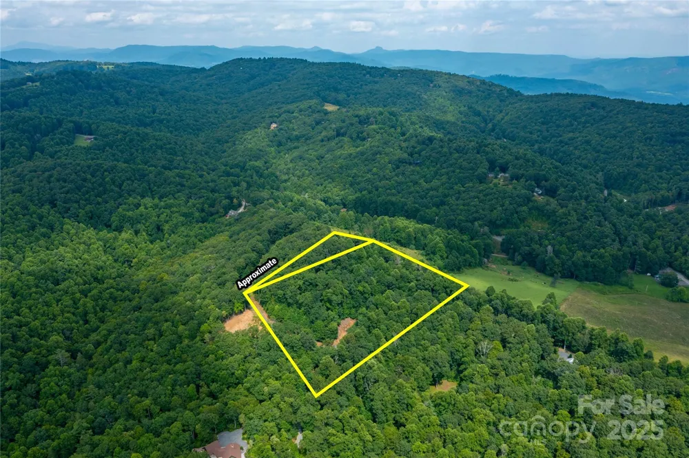 000 Sassafras Drive Little Switzerland, NC 28777