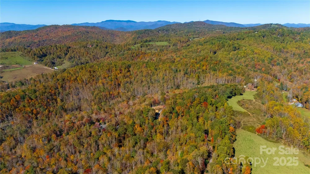 000 Sassafras Drive Little Switzerland, NC 28777