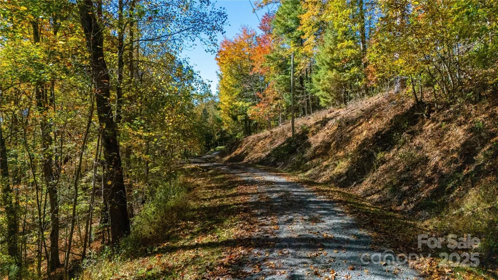 000 Sassafras Drive Little Switzerland, NC 28777