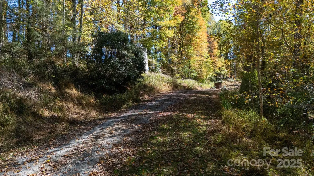 000 Sassafras Drive Little Switzerland, NC 28777